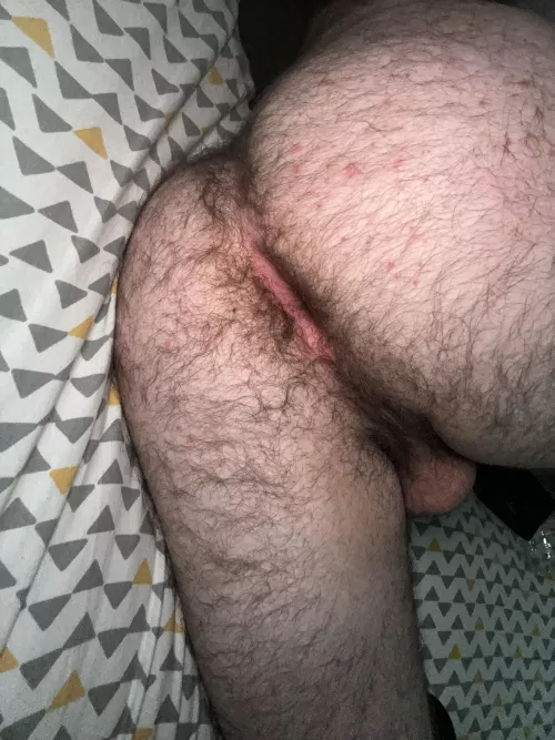 (20) who wants a grab bears? by Ok-Brush7222