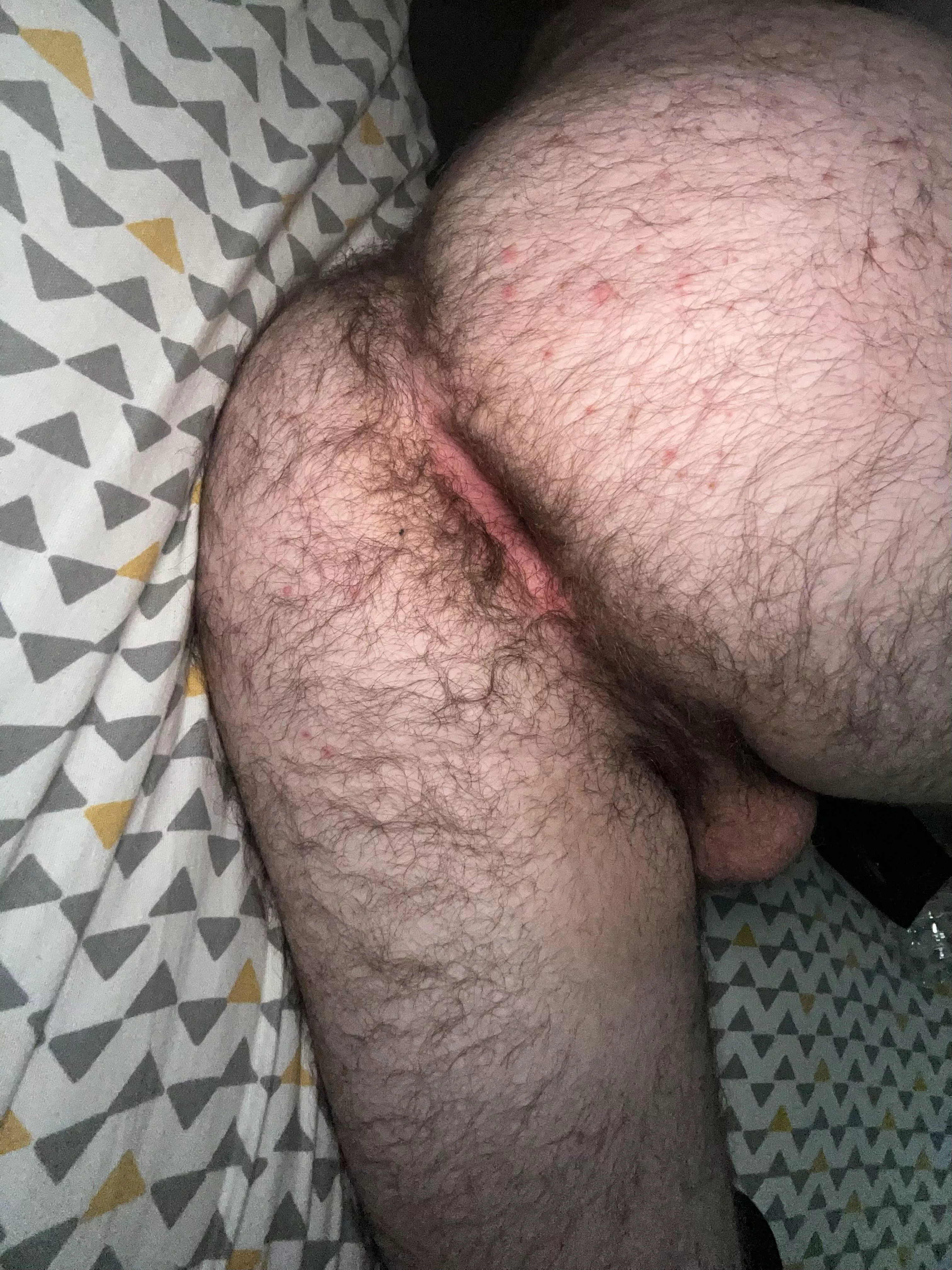 (20) who wants a grab bears? posted by Ok-Brush7222