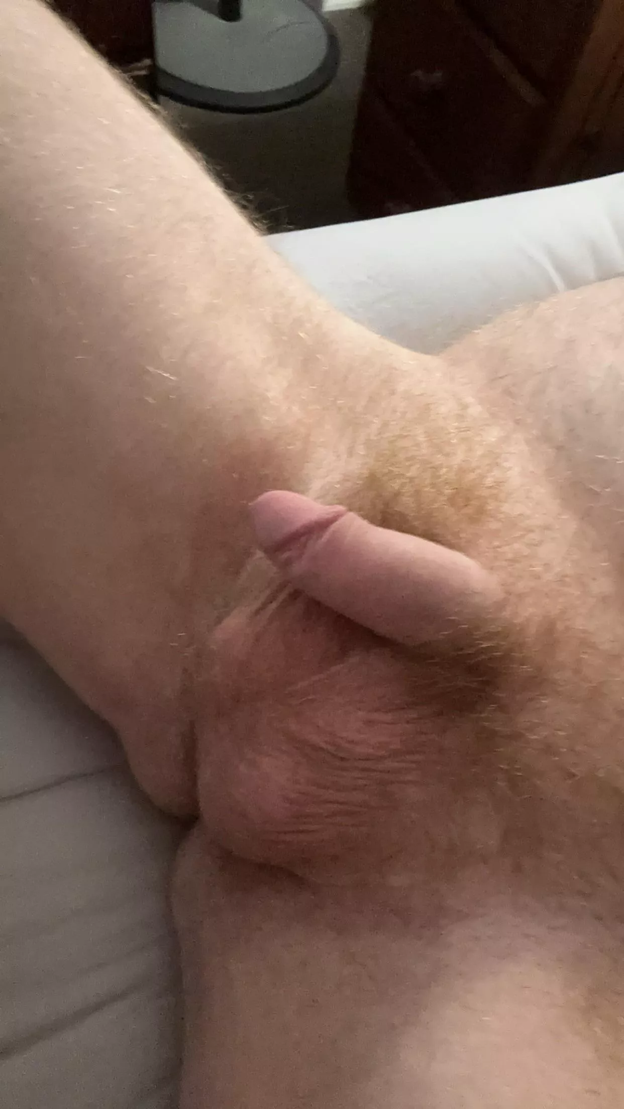 (26) Aussie softie + some balls and bush posted by jc-aus