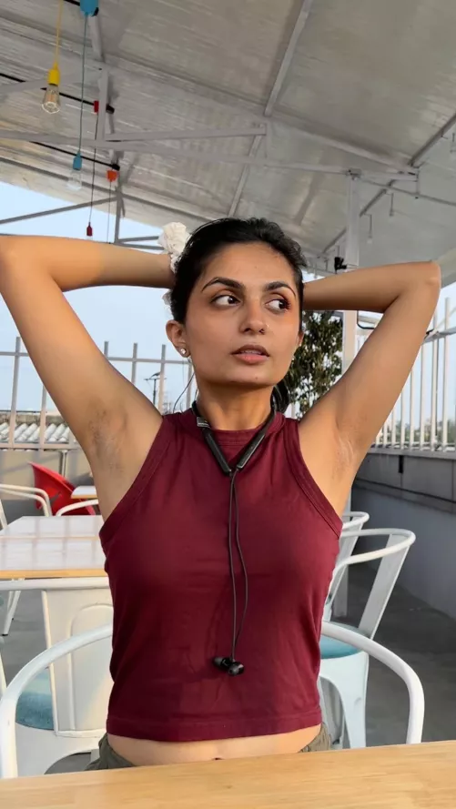 Aashka’s pits. What will you do with her? by OkViolinist45