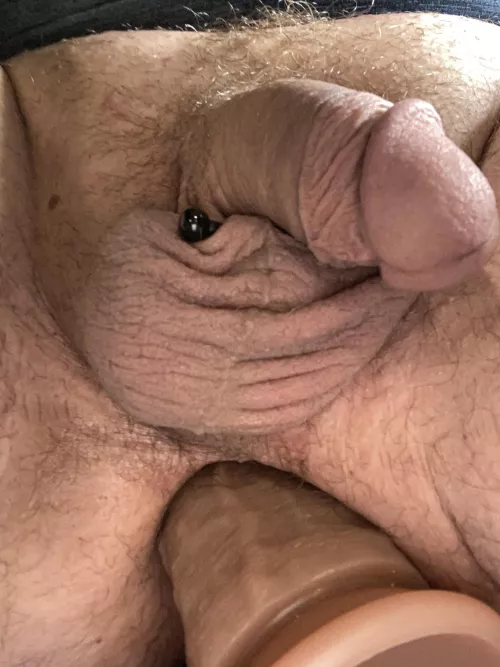 All 10”s by Disastrous_Print_940