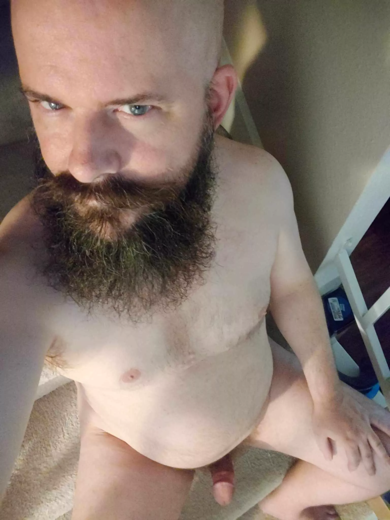 ((And a bonus one cuz I'll be outta pocket this weekend) Dad has had a long day, son. How you wanna help me make it right? posted by BearserkerOne