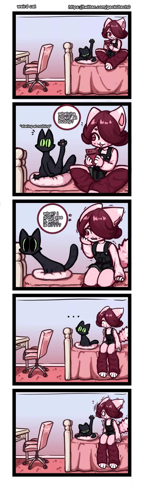 anybody else's cats do this?? by stern_gecko96