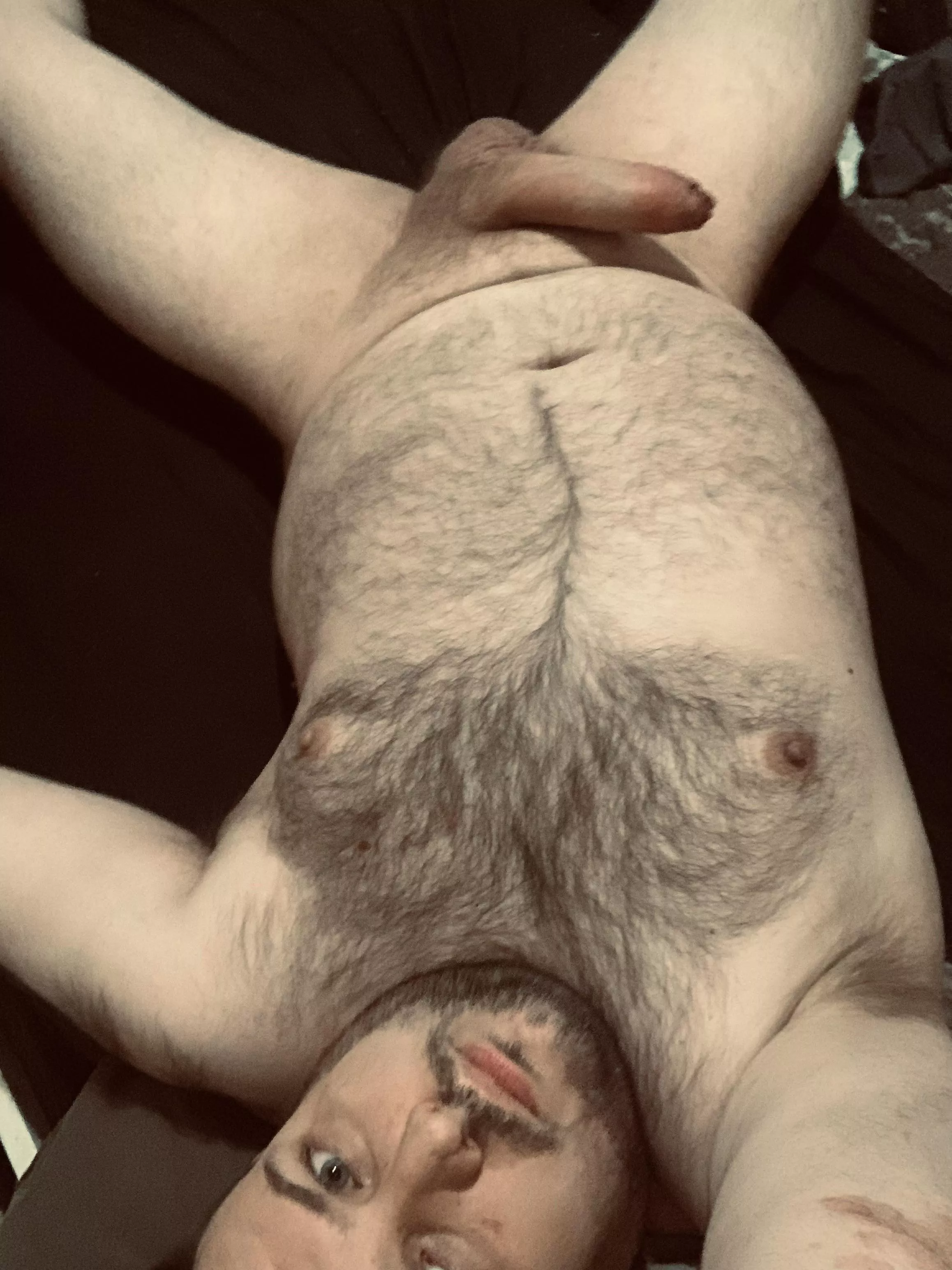 Bear with a big fat cock posted by Rude-Requirement-417