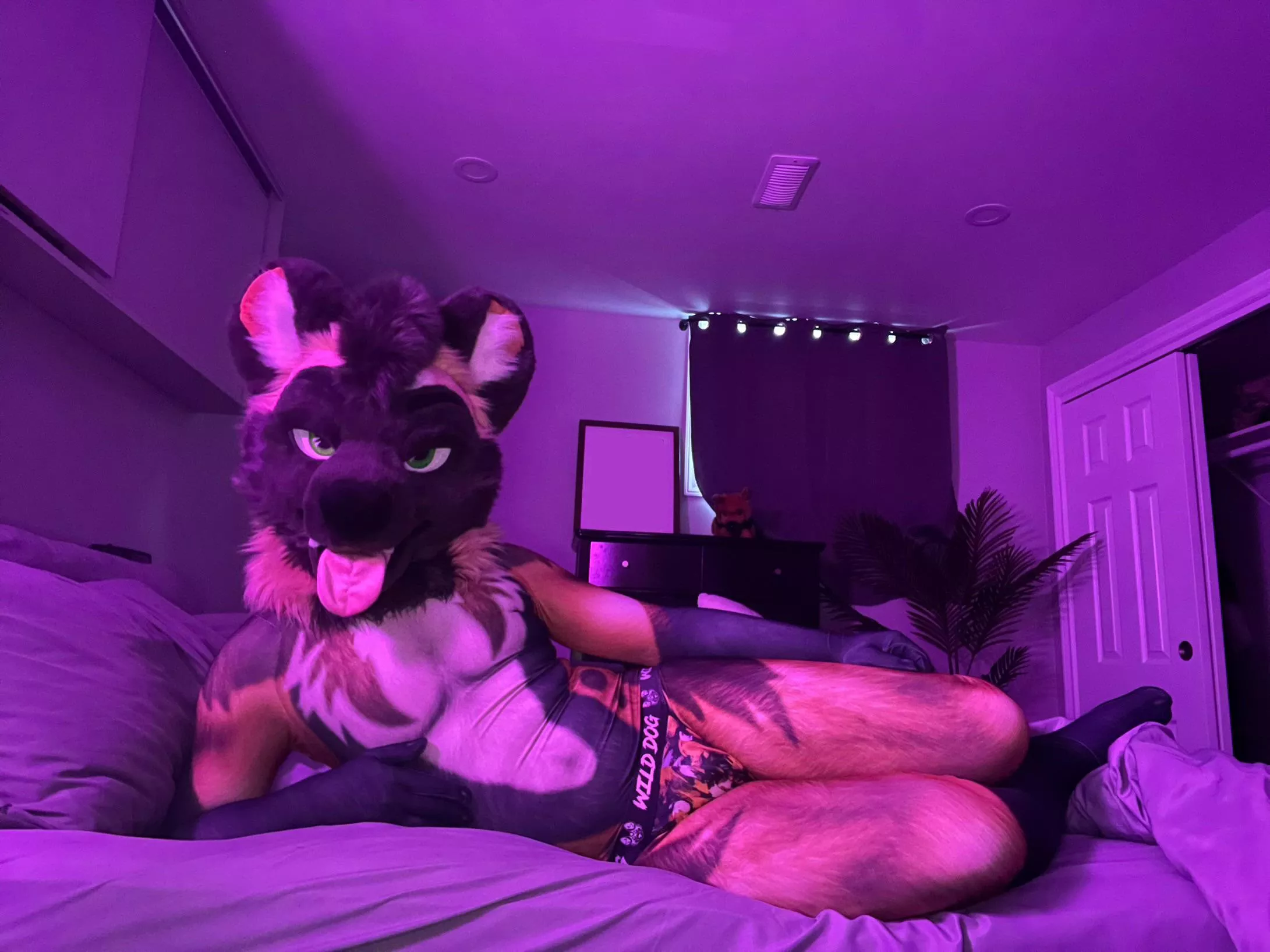 Been waiting for you, come lay down posted by HlySprt