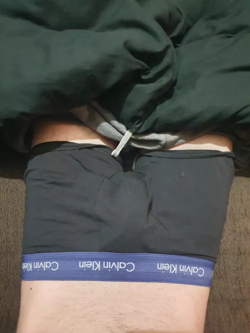 Birds eye view 👀 by Chemical-Worker-1224