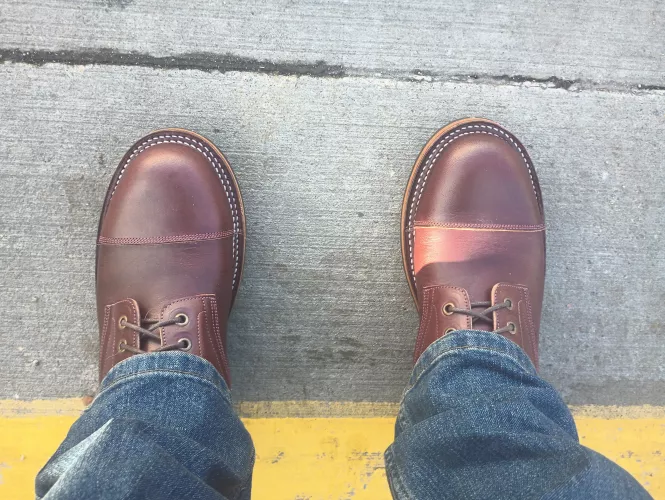 Bordon Tukanos in Burgundy by CounterSensitive776