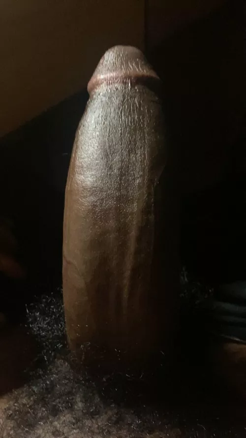 Boutta bust a load by BigDickHenry_