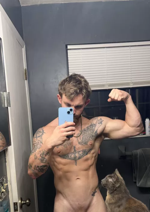 do you like my kitty by jay_jizzzzz