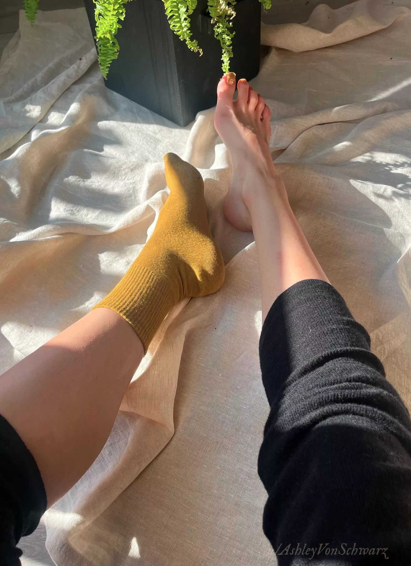 Do you prefer with socks? ❤️ posted by AshleyVonSchwarz