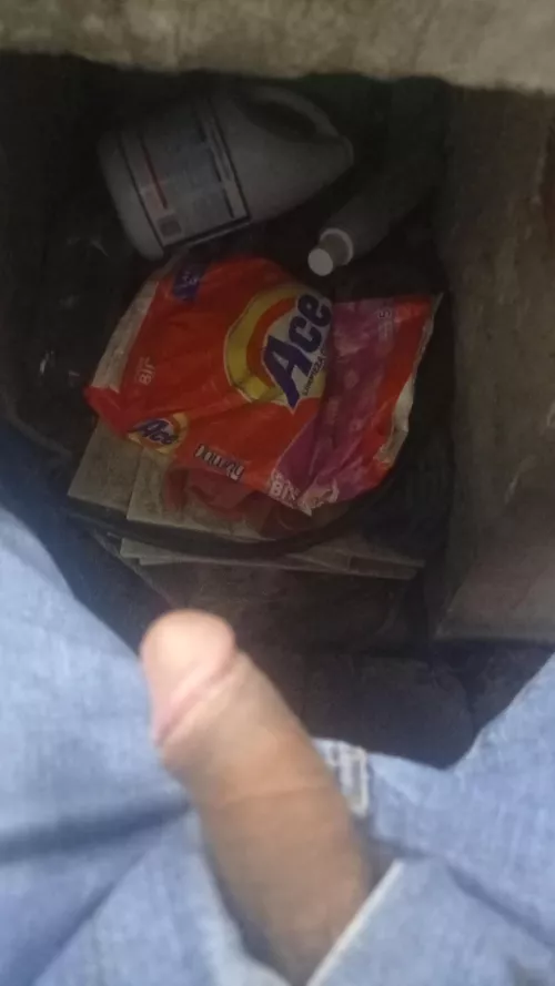 Fantastic by Top_Chipmunk_3620