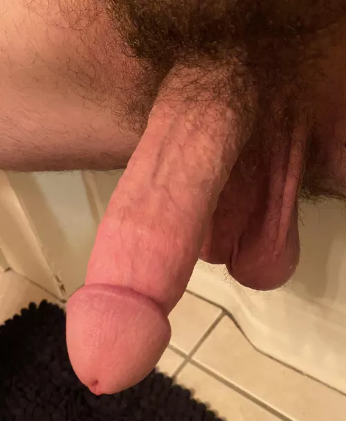 Fucked my wife so hard with this she squirted last night, any guys wanna try it today? (32) by Theduderino96