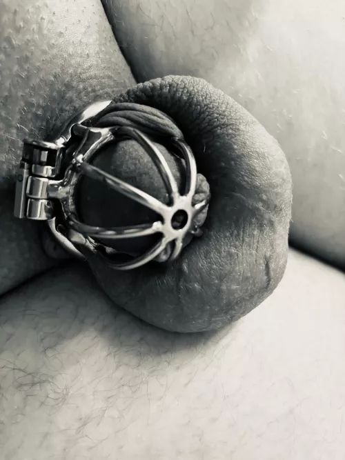 Good morning by Rheinkind_