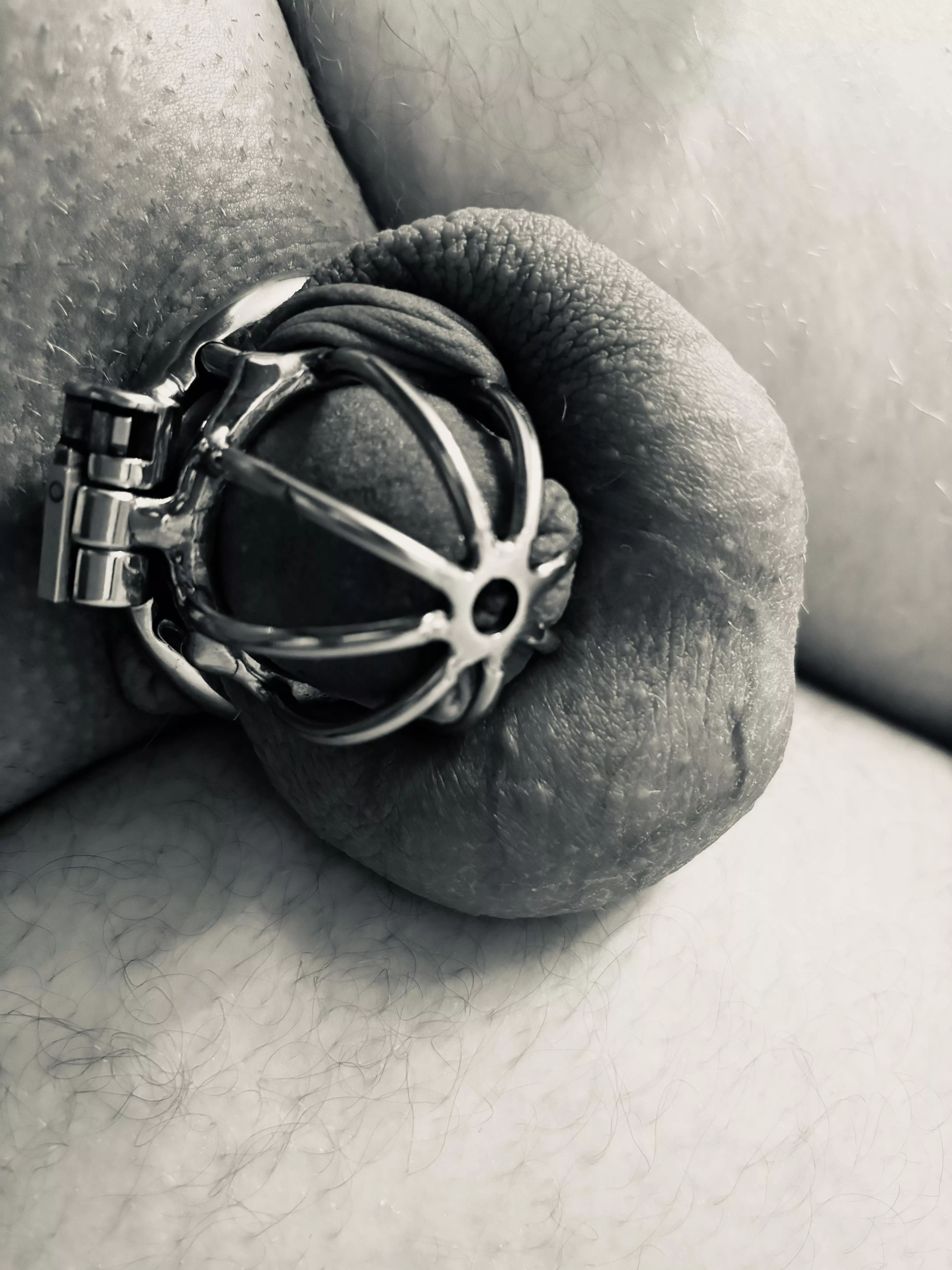 Good morning posted by Rheinkind_