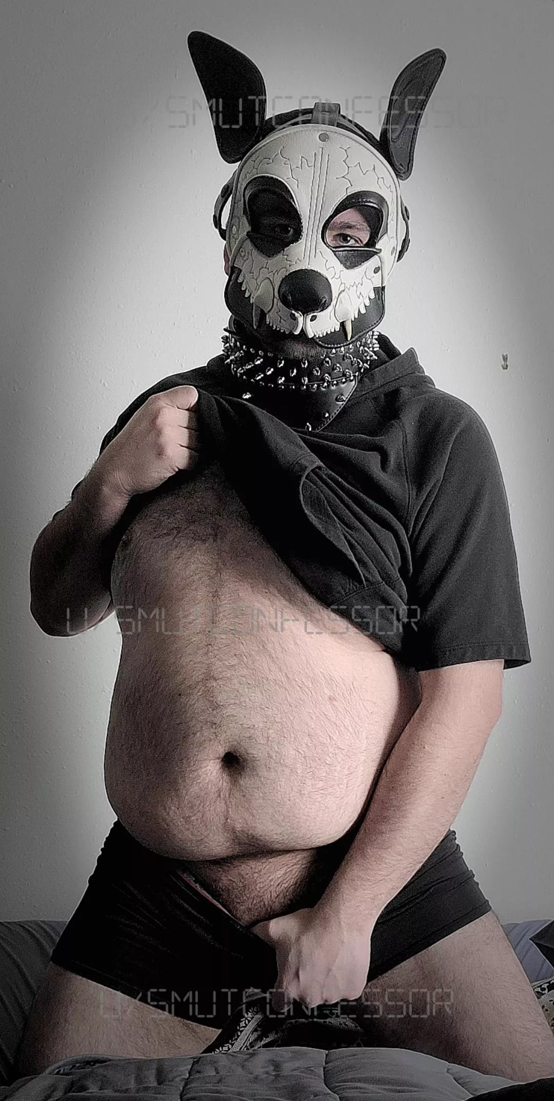 Guess who needs belly rubs!?! posted by SmutConfessor