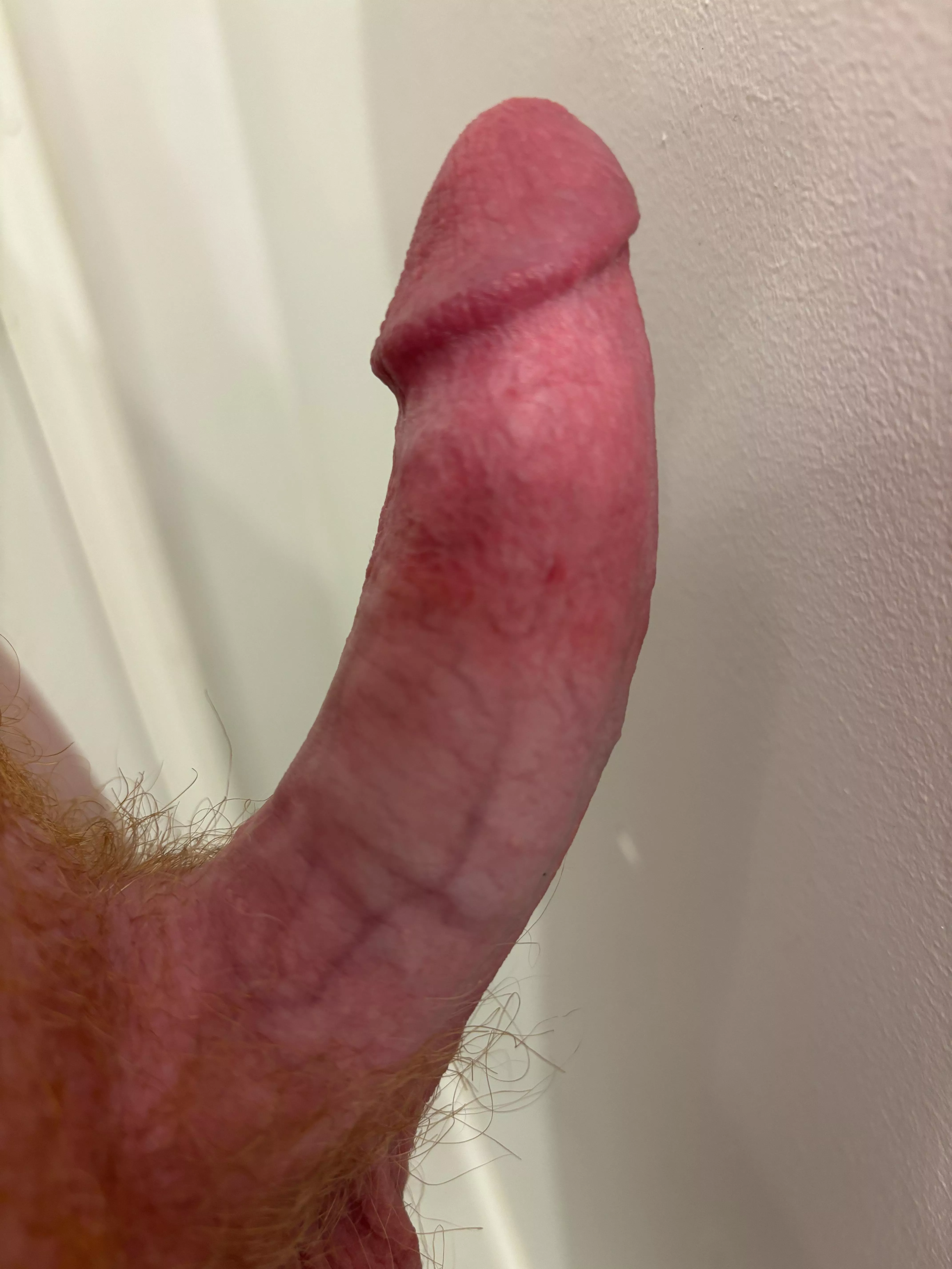 Here is my ginger cock (18) posted by Jacob3427