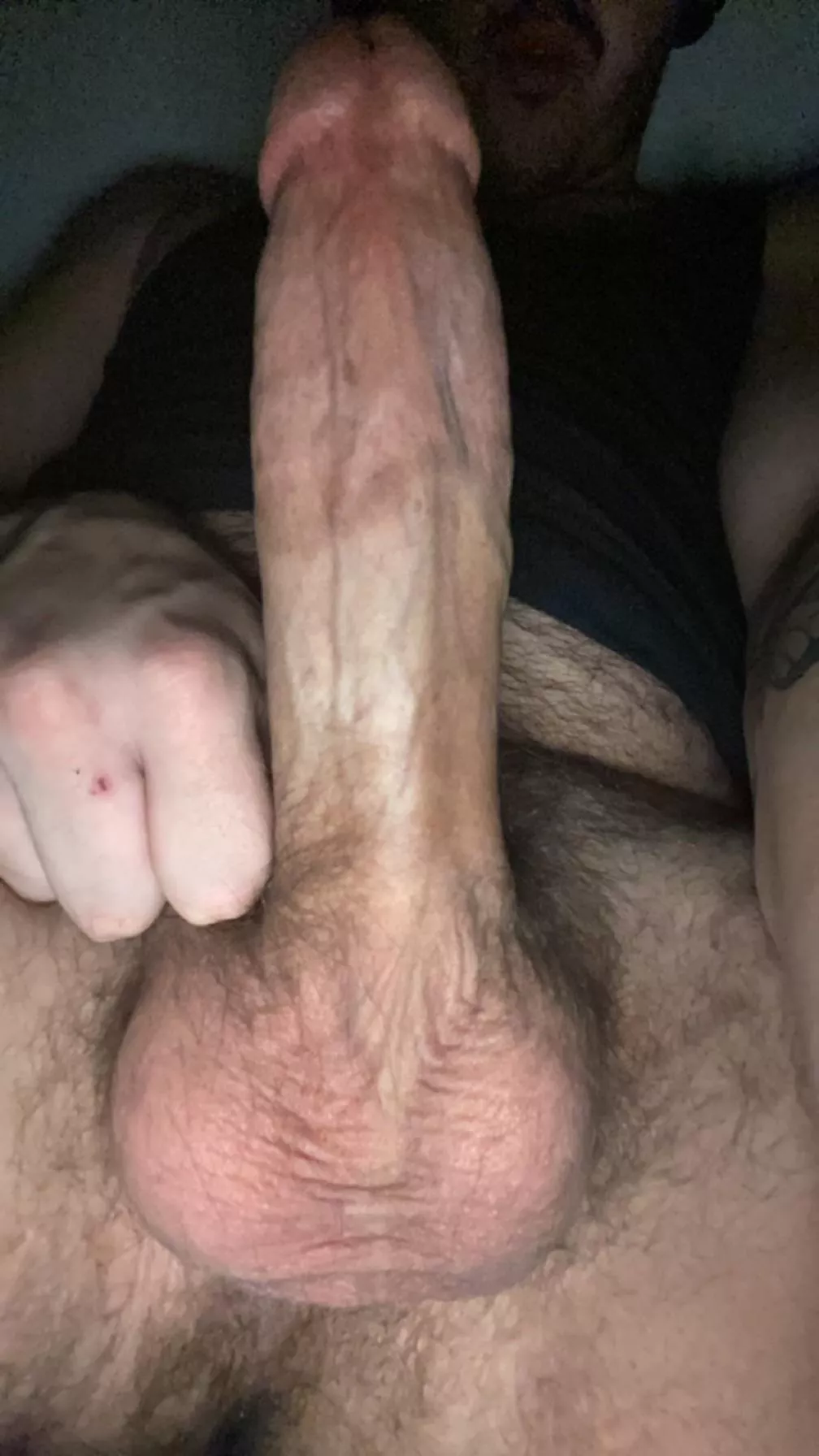 How do you like the view? posted by Naughtyokieman