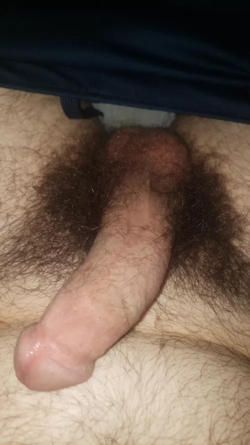 I'm always hard by JaCrispymanss