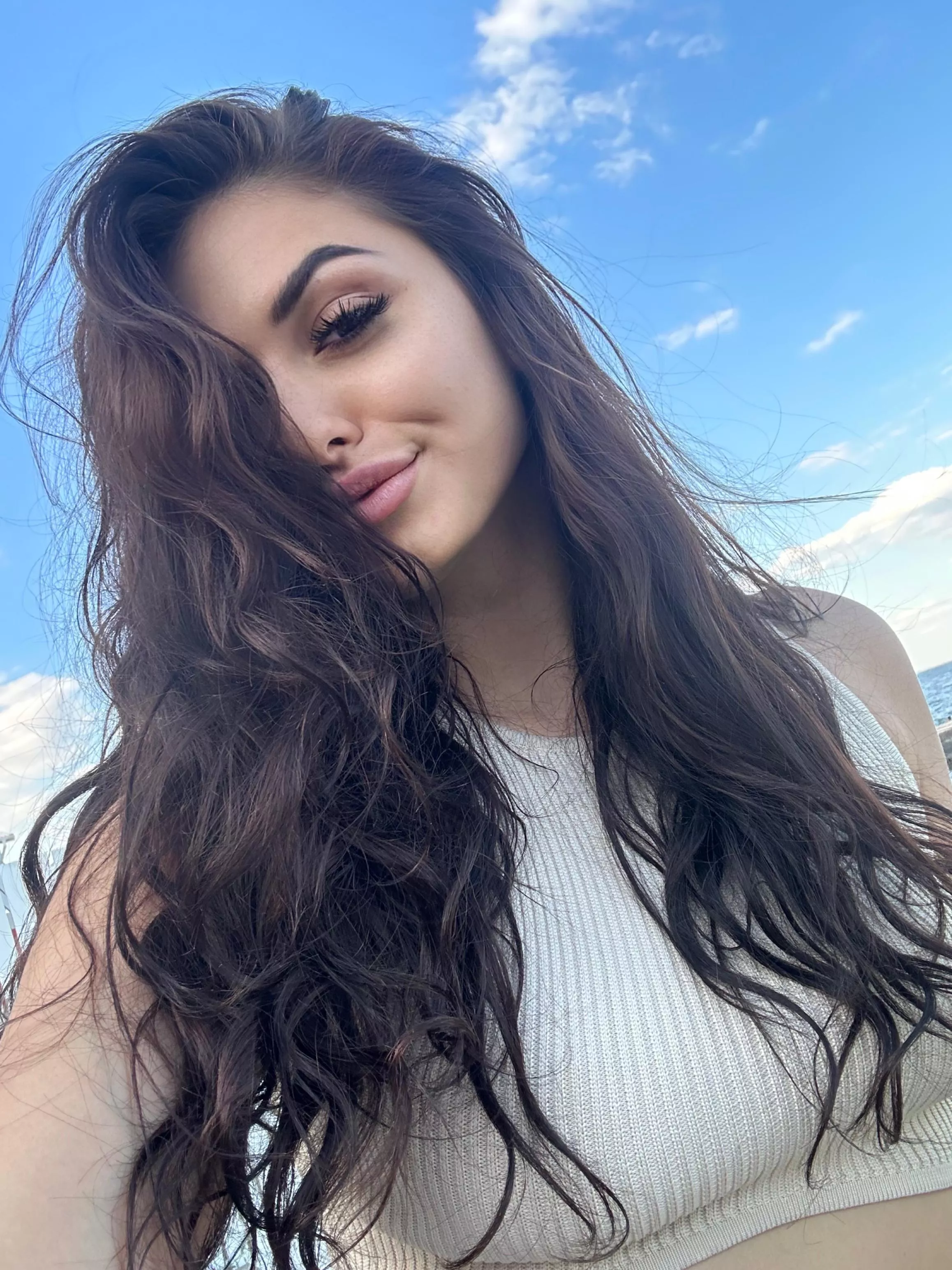 IUTR posted by miniestwardeb