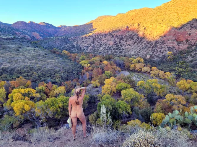 Looking back to Autumn in Arizona 🍂 by BareLeiaRose