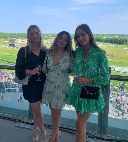 Looking For Horse Cocks by 9PieceThem