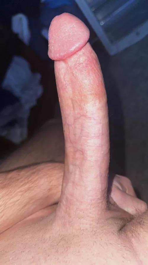 My big hard cock all for you 🥵 by ChrisWithTheBig1