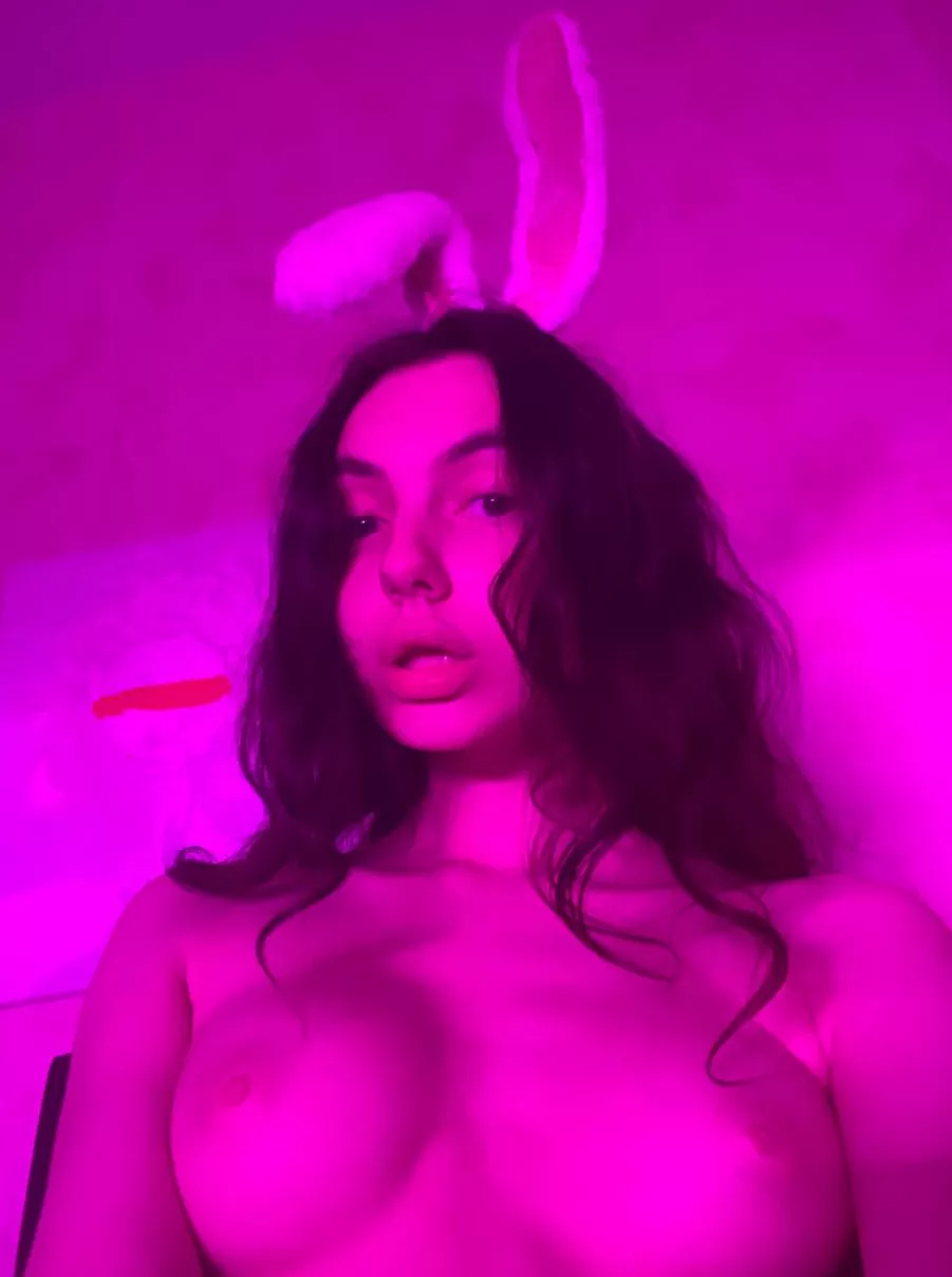 Neon bunny posted by sweetiexxsx
