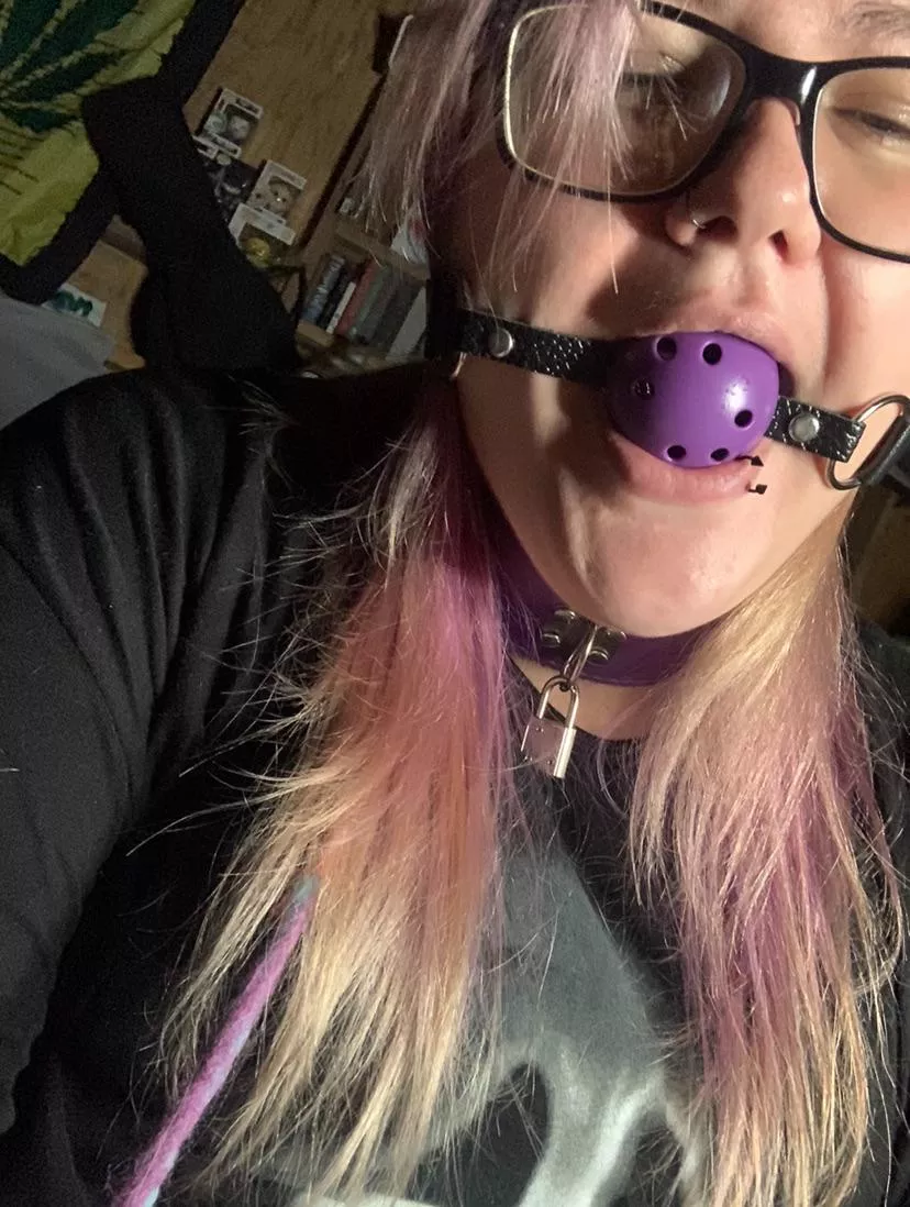 Only way to make stop talking posted by Key-Leopard-7038