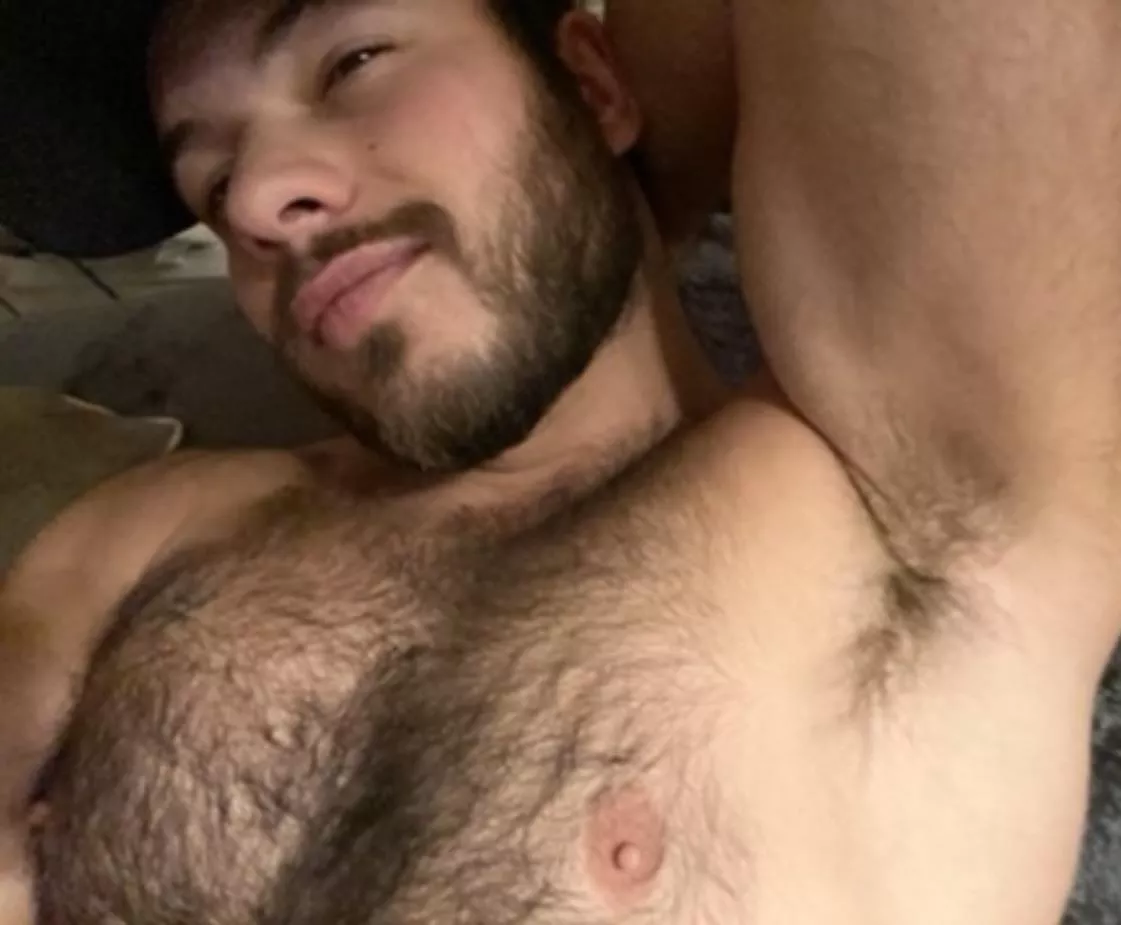 Put your face in it 🐽 posted by TristanMoreau