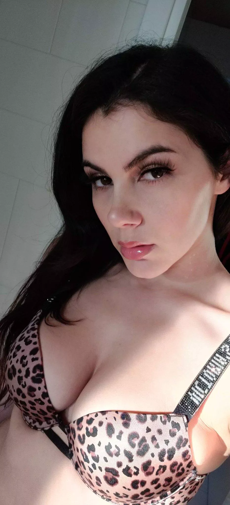 so beautiful! 😻 posted by shoteyyjohnny