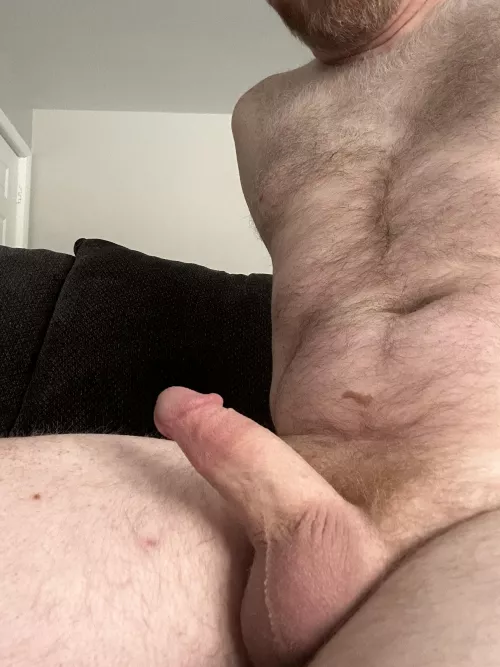 So happy it’s the weekend! Any fun plans? (43) by bearfedging