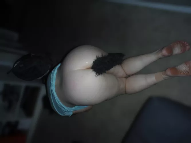 Tail inserted... by Madame_Misanthrope