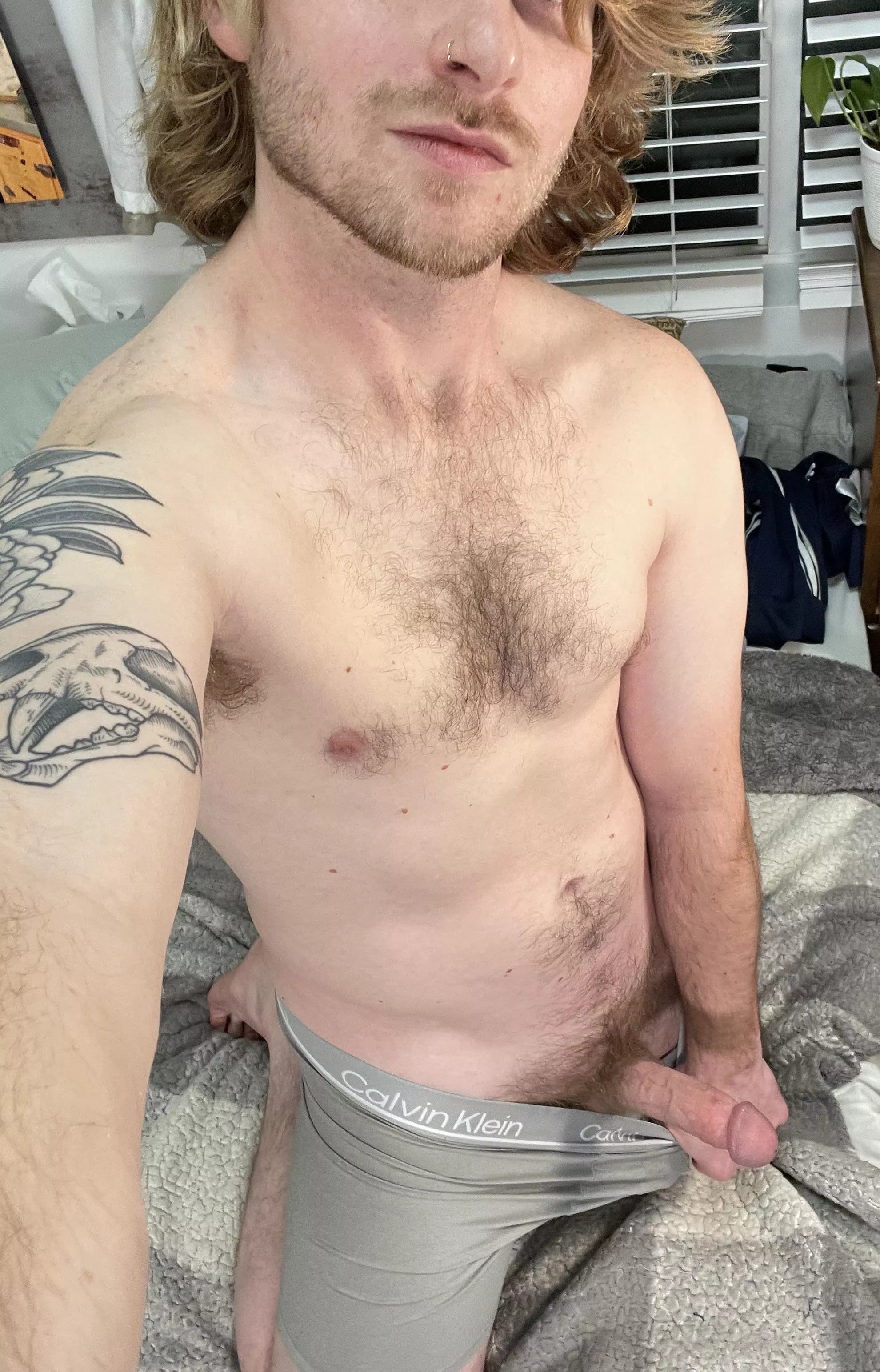 The wild version of this morning posted by hanswolfewastaken