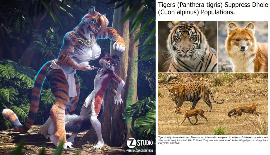 Tigers totally dominate dholes. [MF] (zdotstudio) by Zorryn_Art