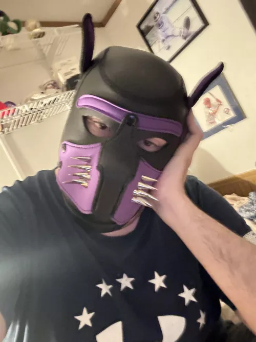 Tired puppy by Gloomy_Independent34