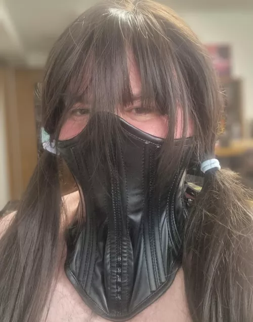 Trying a new collar by boundpb