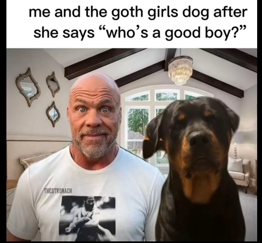 Very relatable... posted by BlueRedVA