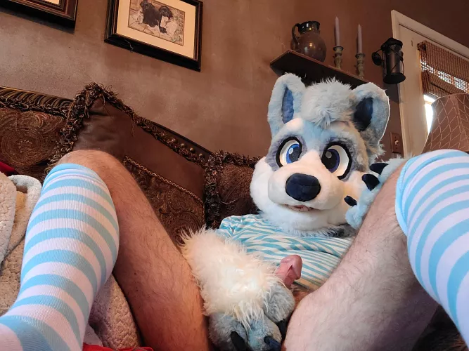 Woke up horny! Need dome help please. by Fine-Till3661