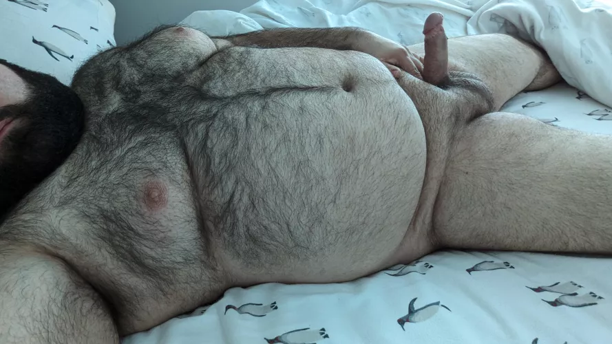 Would I make a good hairy valentine? by NakedMrGamer