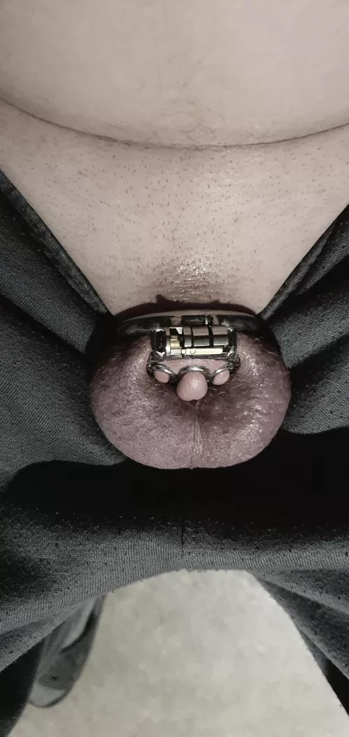 Yep that's a tiny cage. by shitsandgigssss