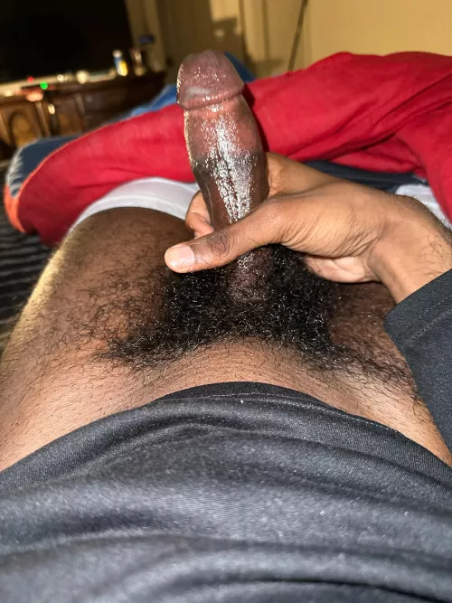 23m morning wood need to cum add me only you have a big hairy dick or big ass and be verbal send vids and I don’t show face @hairy6inch by Appropriate-Line3928