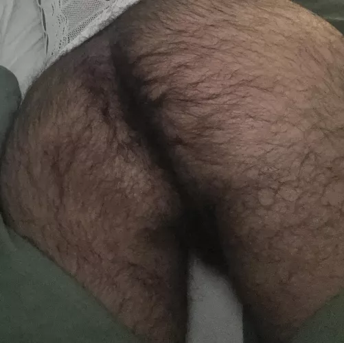 A forest by londonboi92