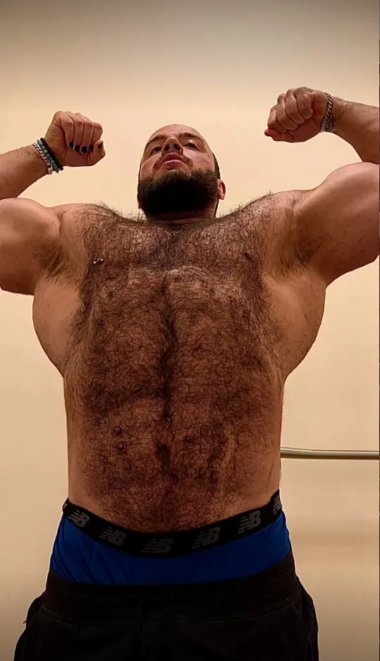 Bear Daddy posted by Damiantheone96