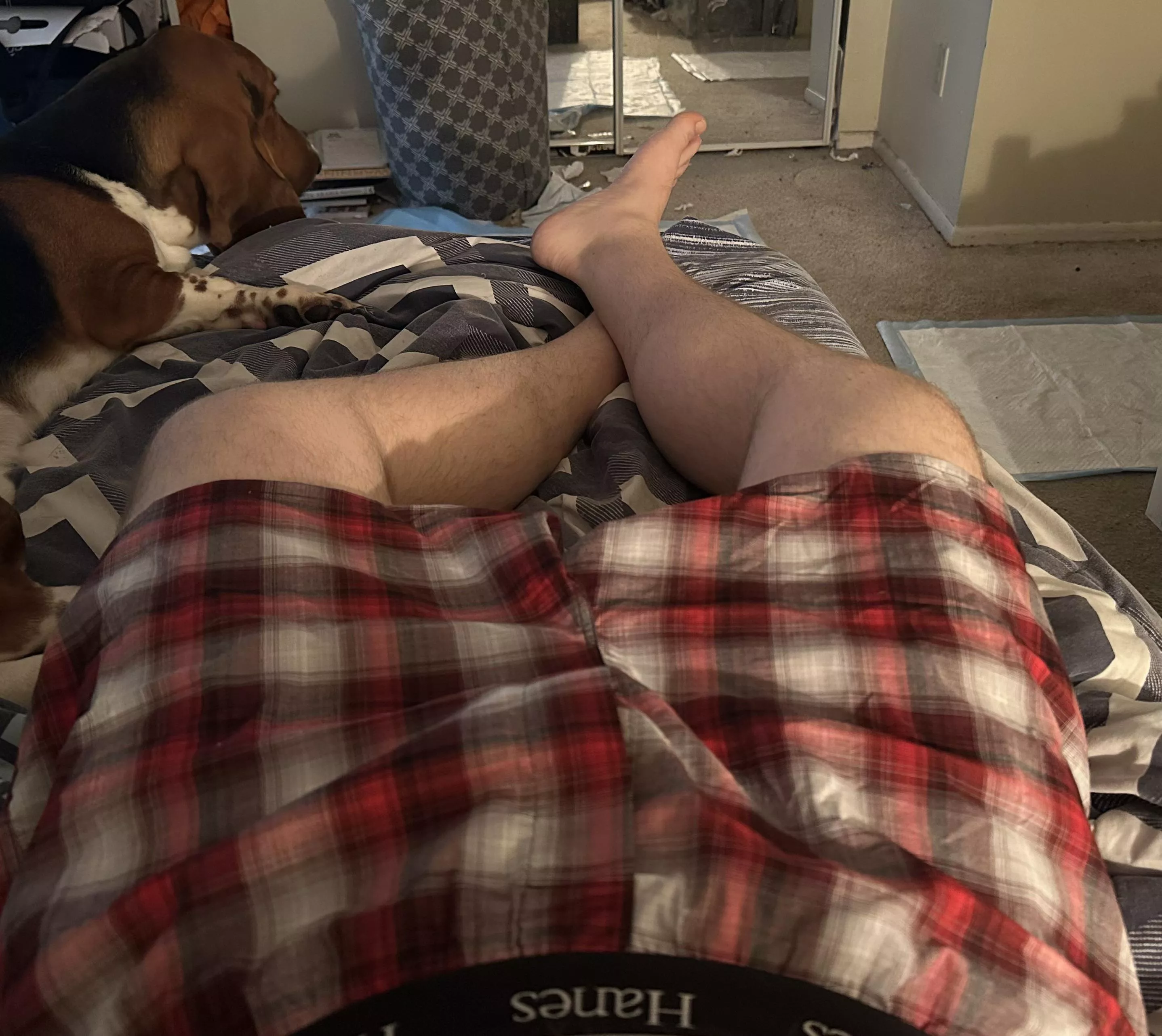 Current boxers posted by RML118