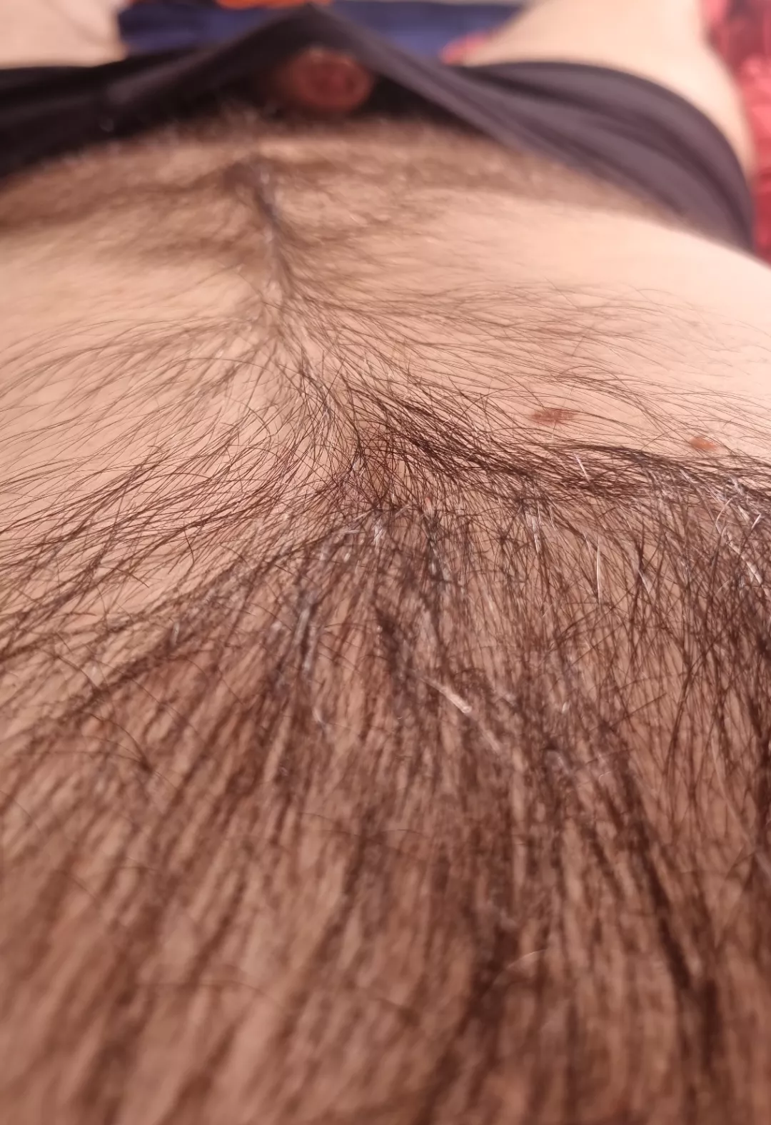 Follow the trail to the cave posted by Adventurous-Seat-747