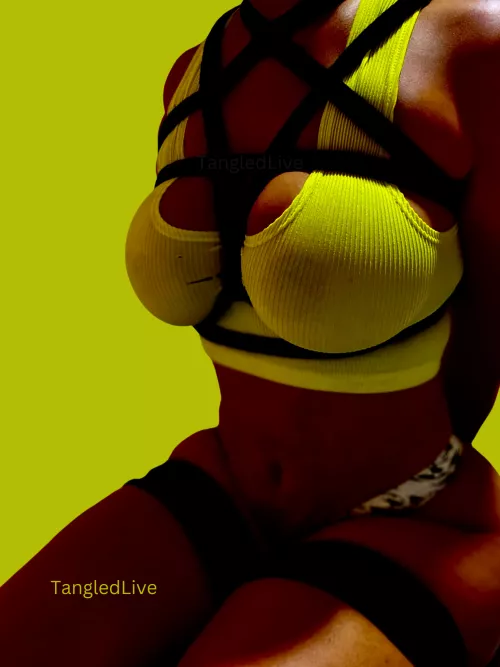 💛🖤 Frog Ties and a Pentagram Harness by TangledLive