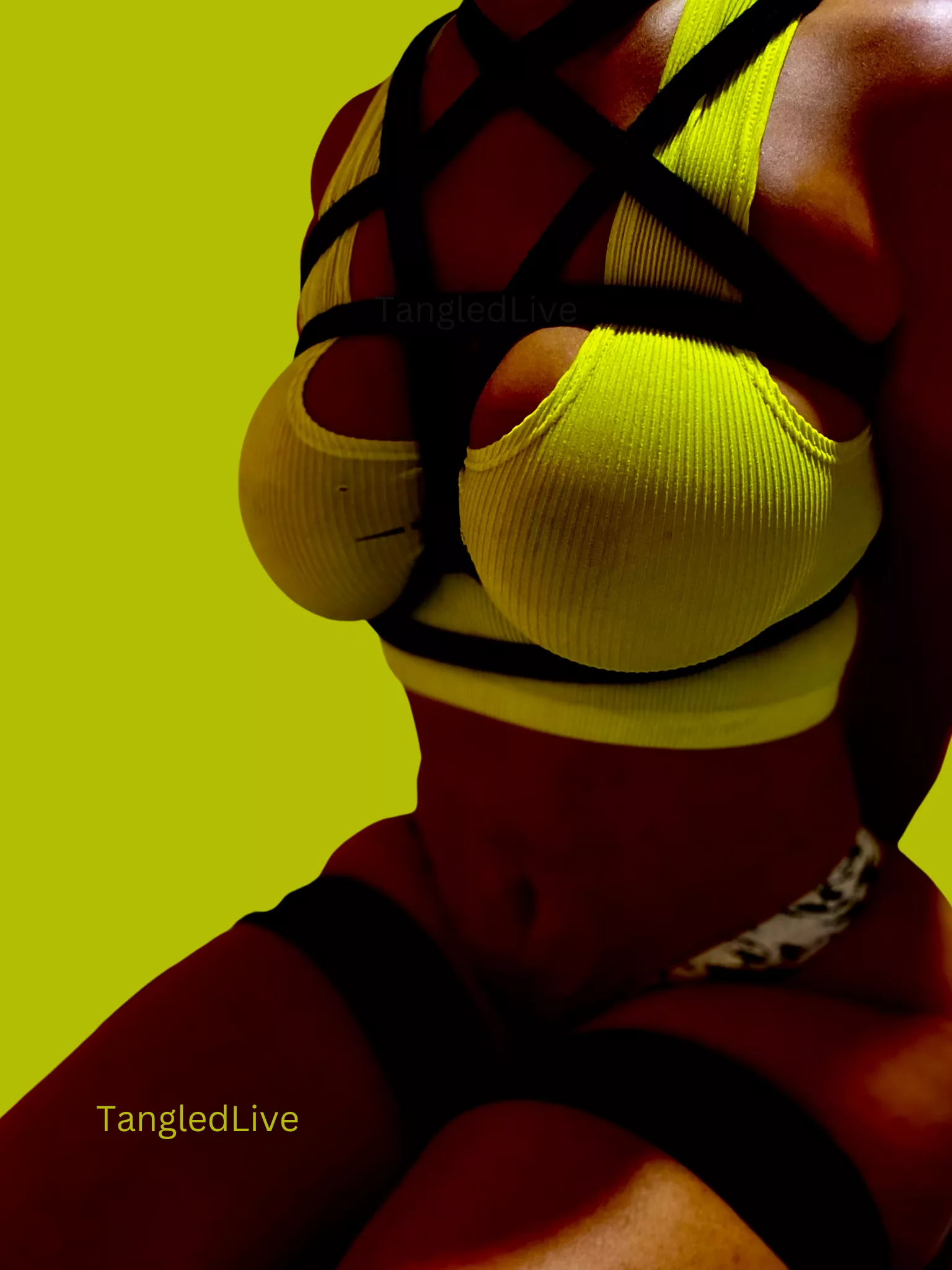 💛🖤 Frog Ties and a Pentagram Harness posted by TangledLive