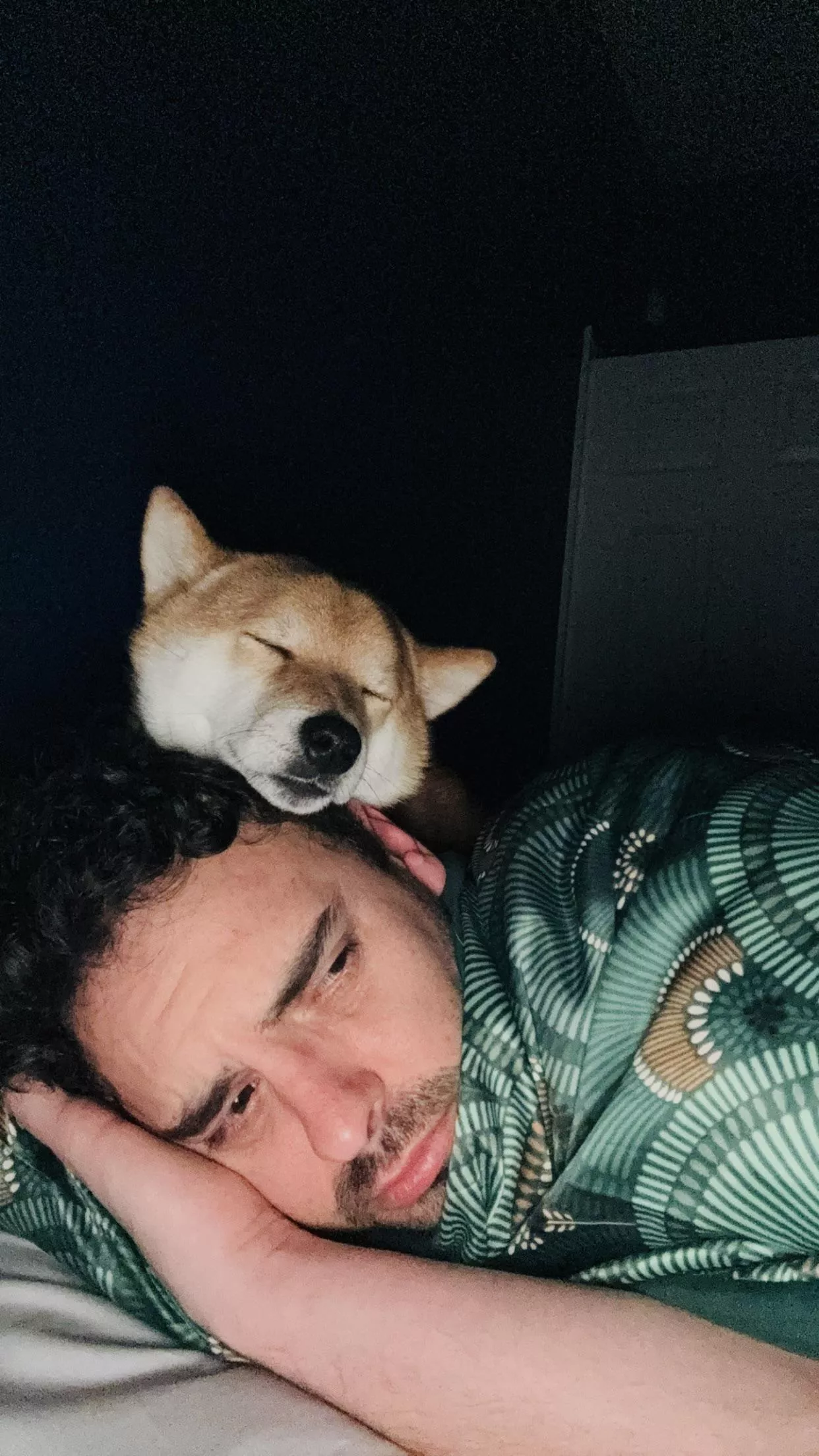 Guess it’s time to wake up. posted by SirTallyWack