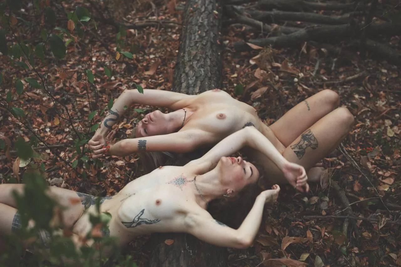 I hope the forest animals like our bodies posted by Farevkaoff