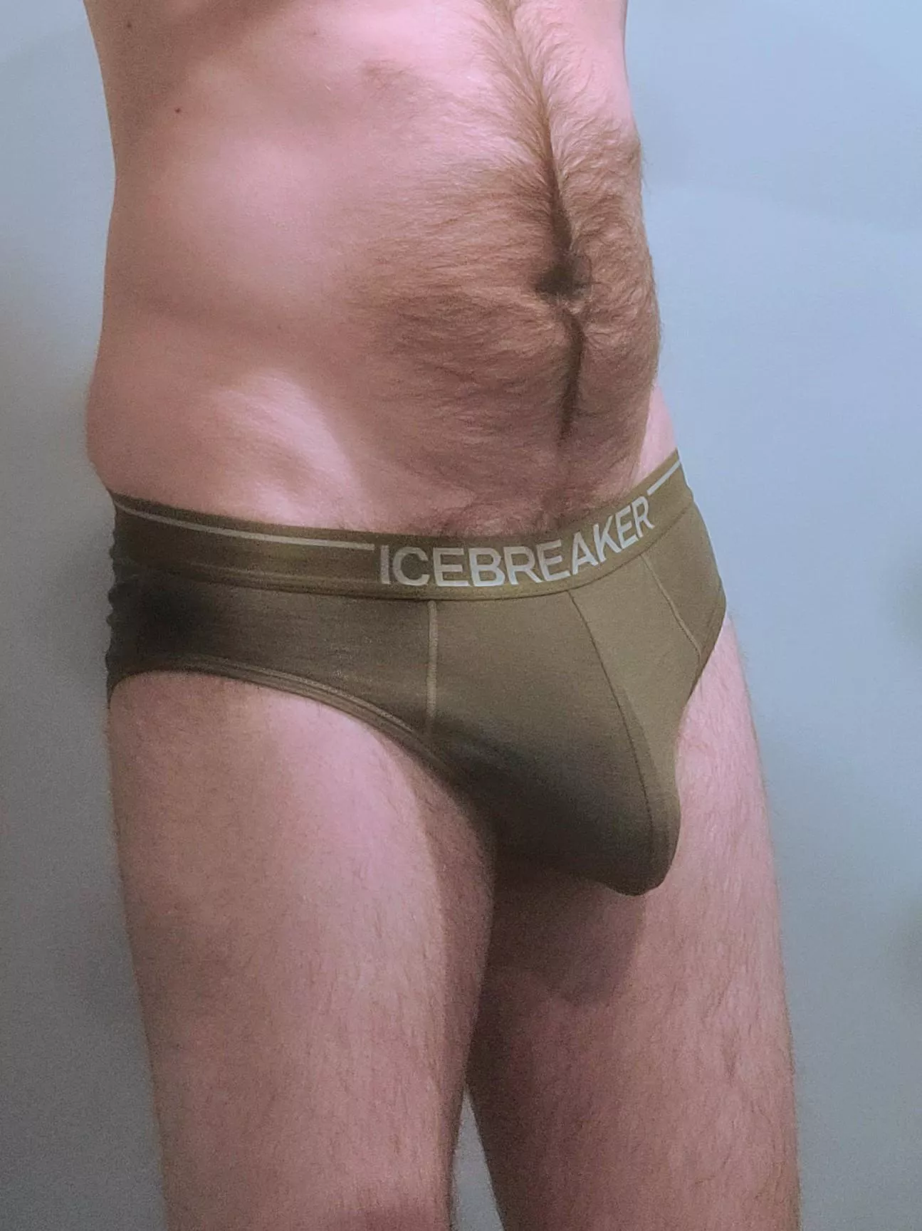 Icebreaker briefs posted by james_hardiepants